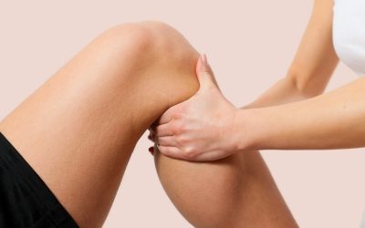 Physiotherapists